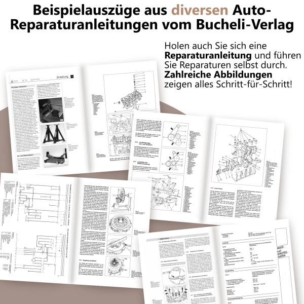 Bild 4 von 5