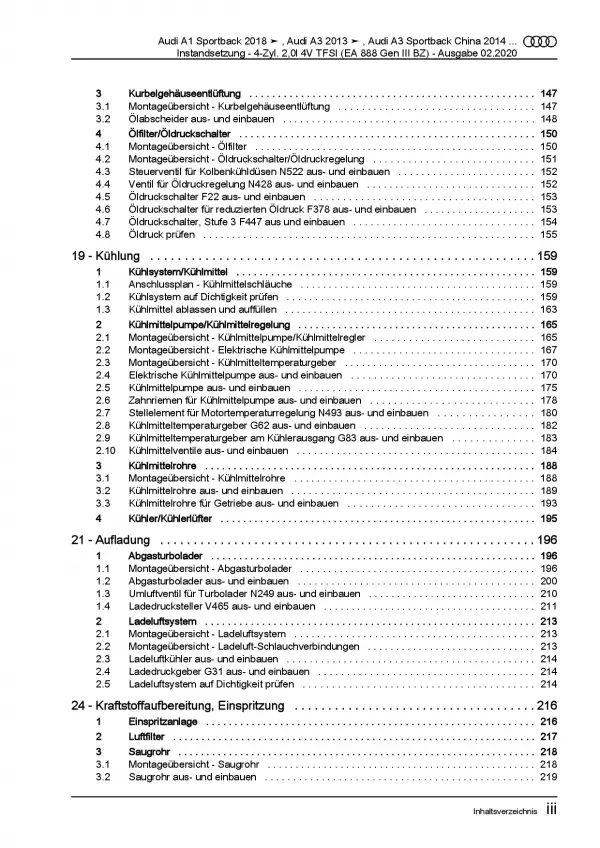 Audi A3 8V (12-20) Instandsetzung 4-Zyl. Benzinmotor 2,0l Reparaturanleitung