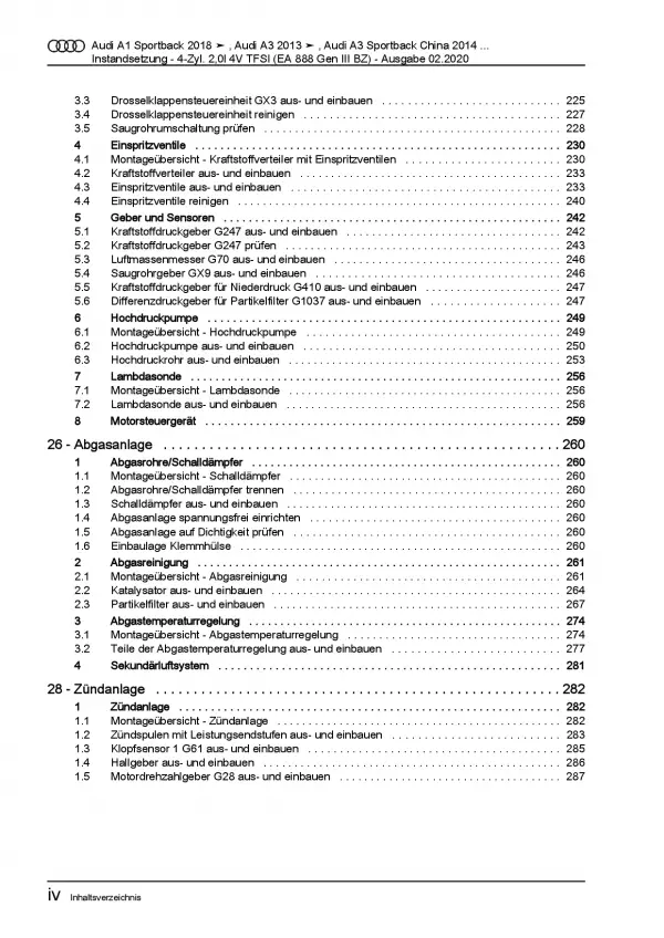 Audi A3 8V (12-20) Instandsetzung 4-Zyl. Benzinmotor 2,0l Reparaturanleitung