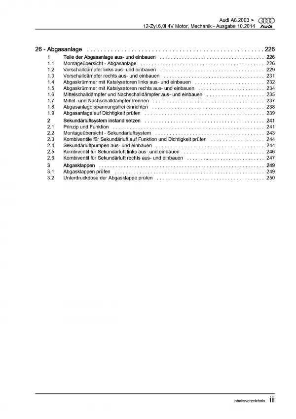 Audi A8 Typ 4E 2002-2010 6,0l Benzinmotor Mechanik 450 PS Reparaturanleitung PDF