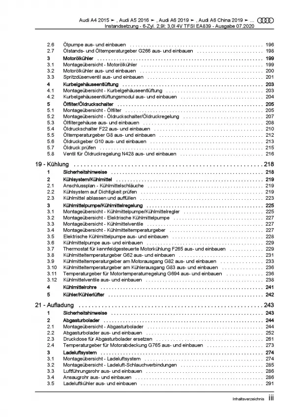 Audi A8 4N ab 2017 Instandsetzung 2,9l 3,0l Benzinmotor Reparaturanleitung PDF