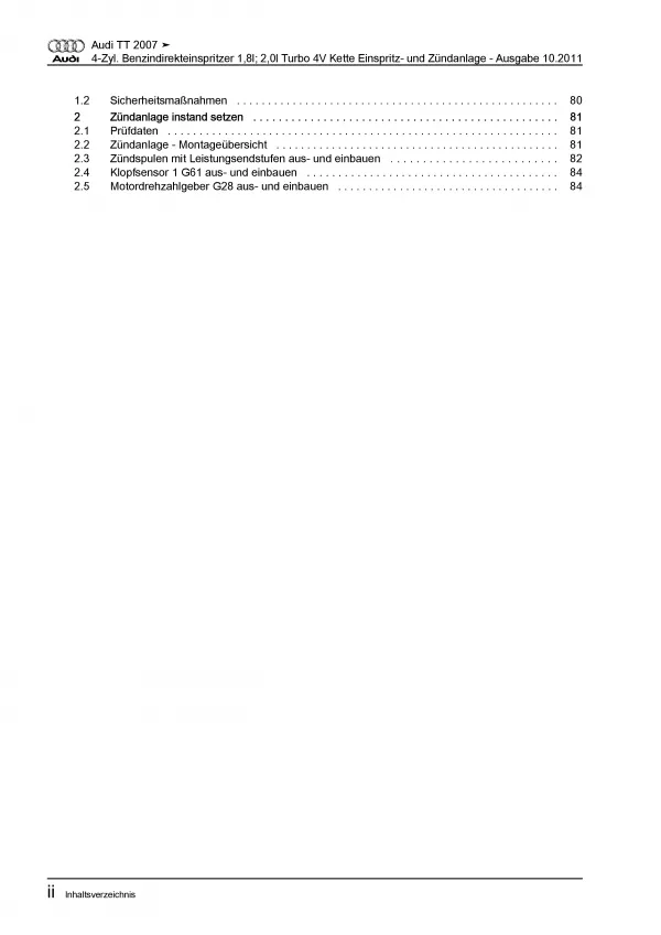 Audi TT 8J (06-14) Benzin Einspritz Zündanlage 160-211 PS Reparaturanleitung PDF