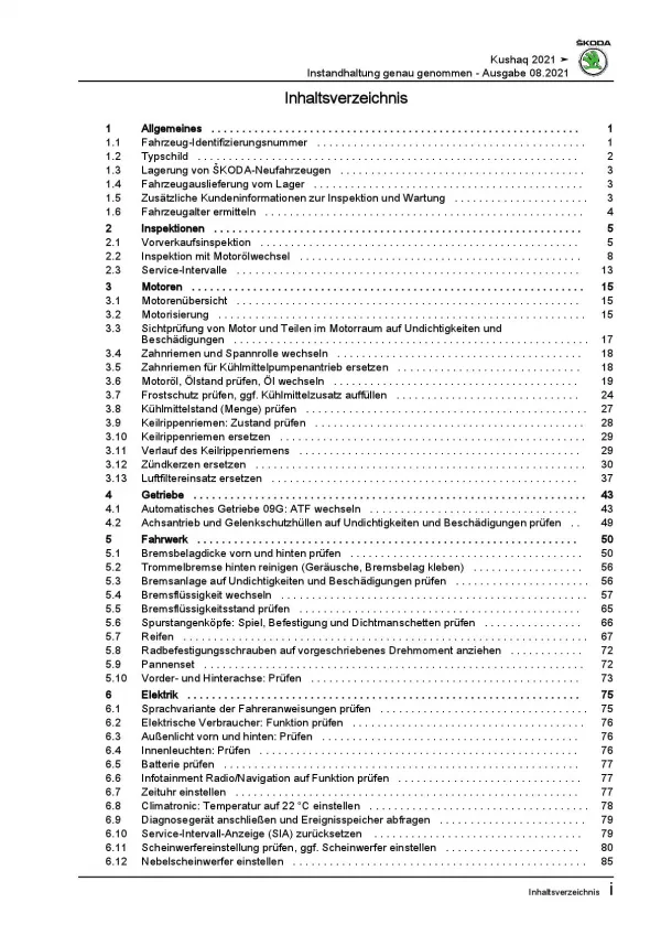 SKODA Kushaq PA ab 2021 Instandhaltung Inspektion Wartung Reparaturanleitung PDF