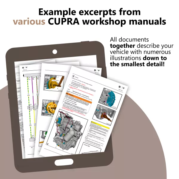 Example excerpts from various repair manuals from Cupra