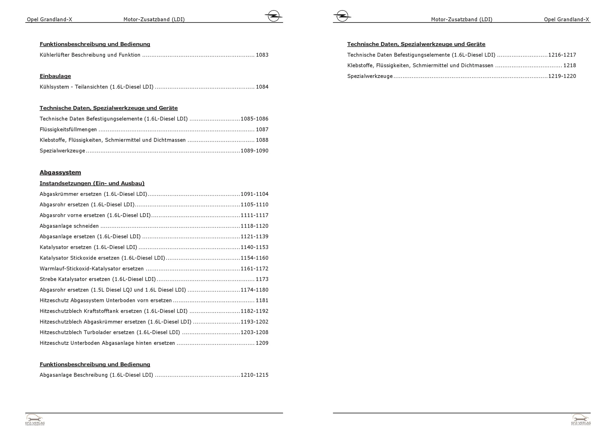 Opel Grandland A18 (17-24) Dieselmotor 120 PS Zusatzband LDI Reparaturanleitung