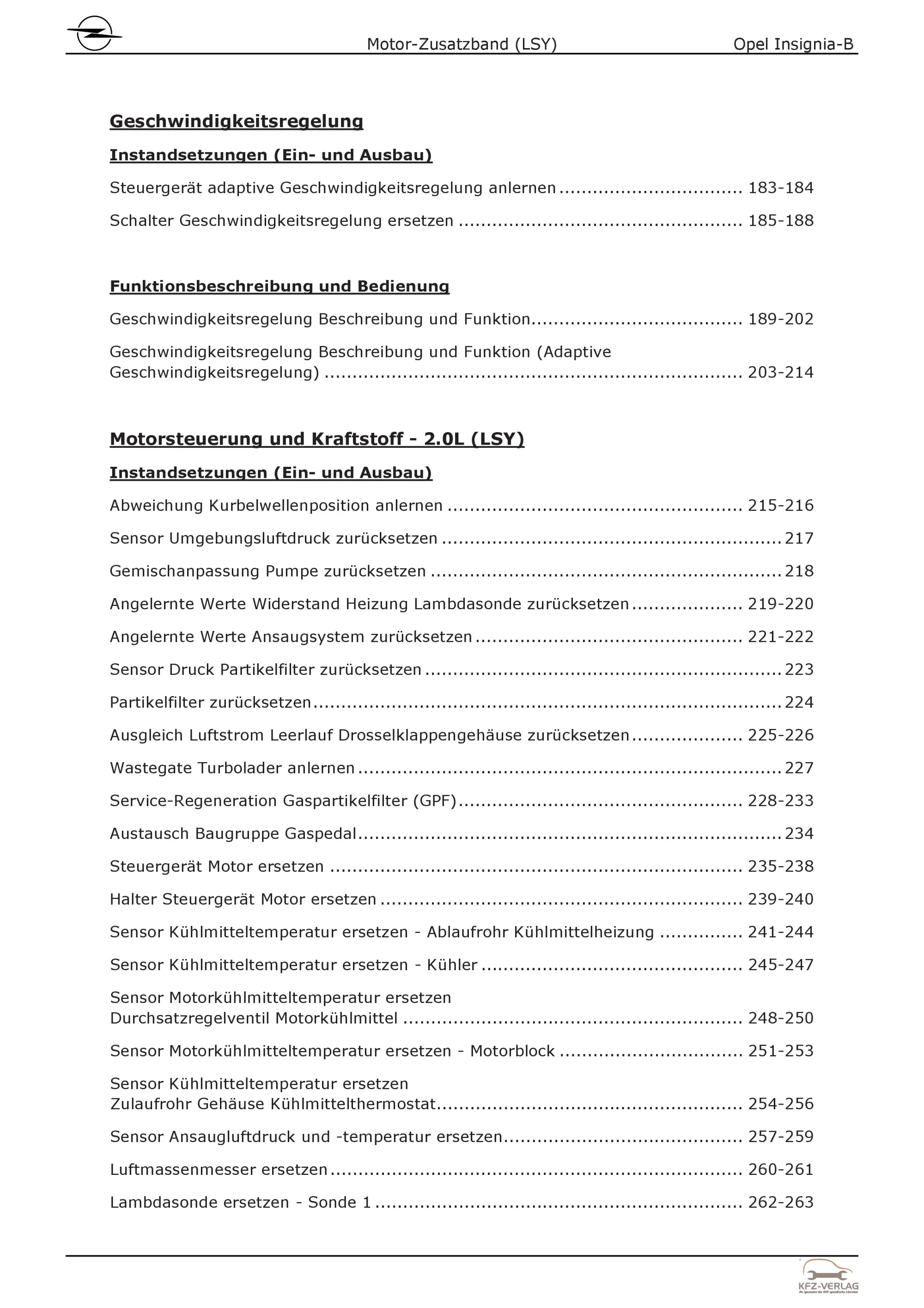Opel Insignia B (17-22) Benzinmotor Zusatzband 170-230 PS LSY Reparaturanleitung