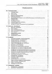 Audi A3 8L 1996-2006 1,8l Benzinmotor 209-225 PS Mechanik Reparaturanleitung PDF