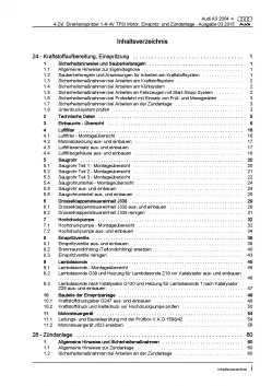 Audi A3 8P 2003-2012 Benzin Einspritz- Zündanlage 125 PS Reparaturanleitung PDF