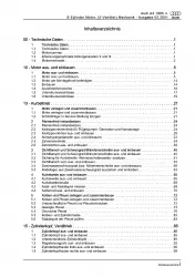 Audi A4 8D (94-02) 6-Zyl. Benzinmotor 163-193 PS Mechanik Reparaturanleitung PDF