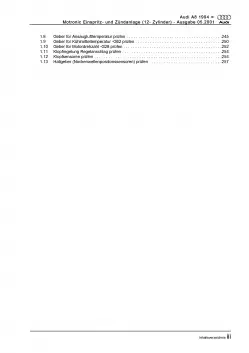 Audi A8 4D (94-02) Motronic Einspritz- Zündanlage 420 PS Reparaturanleitung PDF