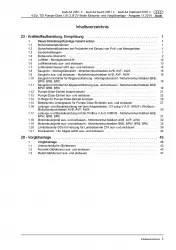 Audi A4 Cabriolet (02-09) Diesel Einspritz- Vorglühanlage Reparaturanleitung PDF