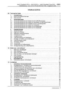 Audi Q2 GA ab 2016 Instandsetzung Benzinmotor 4-Zyl. 2,0l Reparaturanleitung PDF