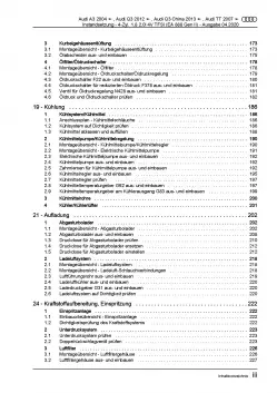 Audi Q3 8U (11-18) Instandsetzung Benzinmotor 170-211 PS Reparaturanleitung PDF