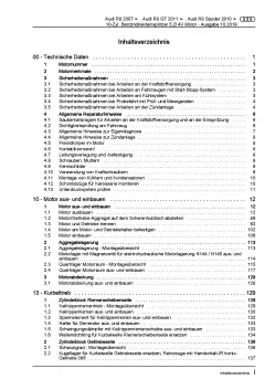 Audi R8 Typ 42 2006-2015 10-Zyl. 5,2l Benzinmotor 525-570 PS Reparaturanleitung