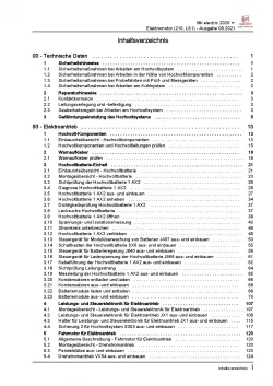 SEAT eMii KE ab 2019 Elektromotor Elektroantrieb 212 LS1 Reparaturanleitung PDF