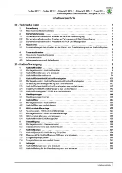 Skoda Kodiaq NS ab 2016 Kraftstoffversorgung Benzinmotor Reparaturanleitung PDF