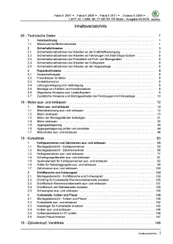 SKODA Octavia 1Z (04-13) 4-Zyl. Dieselmotor TDI 75-110 PS Reparaturanleitung PDF