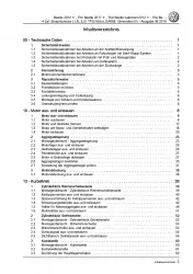 VW Beetle 5C (11-16) 1,8l 2,0l Benzinmotor 170-220 PS Reparaturanleitung PDF