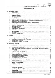 VW Caddy 2K/2C 2010-2015 6 Gang Automatik DSG DKG 02E Reparaturanleitung PDF