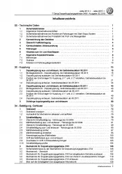 VW Jetta 6 AV (13-18) 7 Gang 0AM Automatikgetriebe DKG Reparaturanleitung PDF
