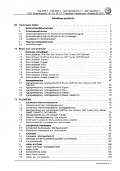 VW Passat 3C (10-14) 4-Zyl. 1,4l Benzinmotor TFSI 140-180 PS Reparaturanleitung