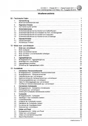 VW Passat 7 3C (10-14) 6-Zyl. 3,6l Benzinmotor 280-299 PS Reparaturanleitung PDF