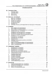 VW Passat 5 3B 1996-2005 4-Zyl. 1,6l Benzinmotor 102 PS Reparaturanleitung PDF