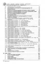 VW Passat 6 3C (04-10) 7 Gang Automatikgetriebe DSG DKG 0AM Reparaturanleitung