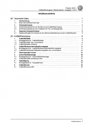 VW Phaeton 3D (01-16) Kraftstoffversorgung Benzinmotoren Reparaturanleitung PDF