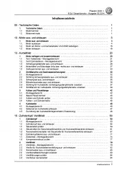 VW Phaeton 3D (01-16) 6-Zyl. 3,2l Benzinmotor 241 PS VR6 Reparaturanleitung PDF