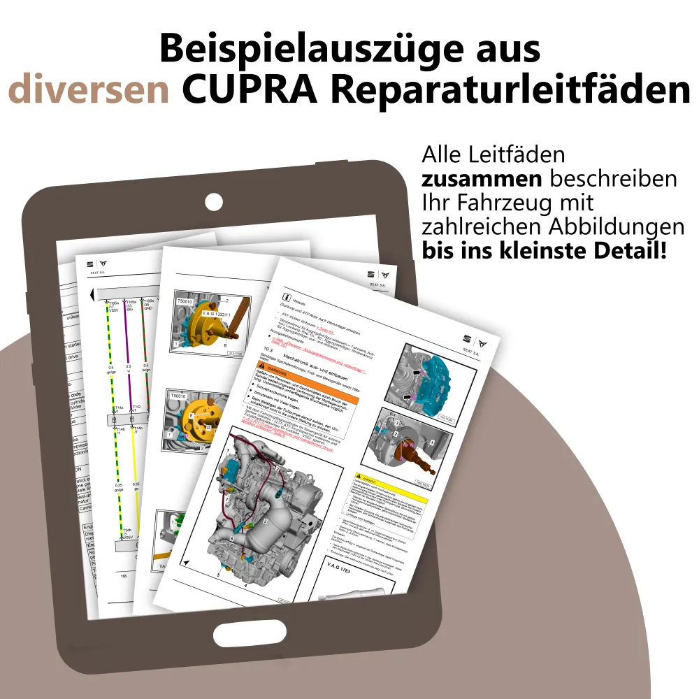 Beispielauszüge der verschiedenen VAG Service Reparaturhandbücher von Cupra.