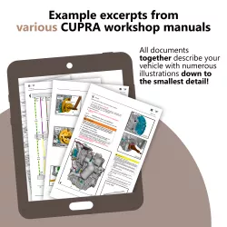 Example excerpts from various repair manuals from Cupra