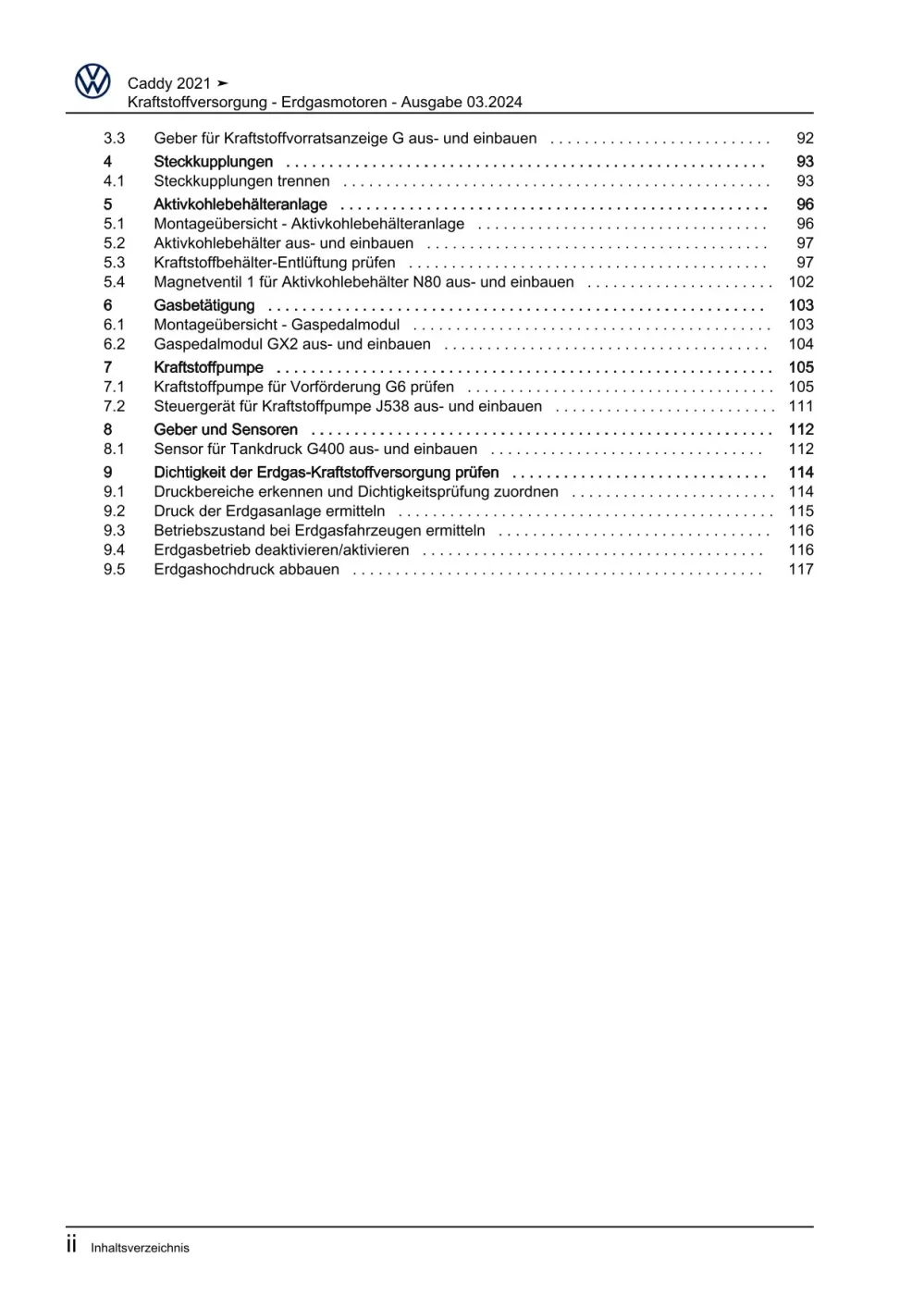VW Caddy SB ab 2020 Kraftstoffversorgung Erdgasmotoren Reparaturanleitung eBook