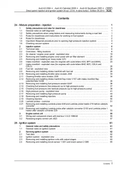 Audi A3 (03-12) direkt injection ignition system 200-265 hp repair manual eBook