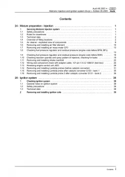 Audi A8 4E (02-10) 8-cyl. motronic injection ignition system repair manual eBook