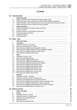 Audi Q8 e-tron GE 2018-2022 general body repairs exterior workshop manual eBook