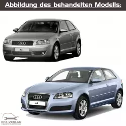 Audi A3 - Typ 8P, 8P1, 8PA - Baujahre ab 2003 bis 2012 - Fahrzeugabschnitt: Instandsetzung Schaltgetriebe - Reparaturanleitungen zur Reparatur in Eigenregie für Anfänger, Hobbyschrauber und Profis.