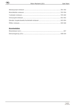 Opel Adam M13 2012-2019 3-Zyl. 1,0l Benzinmotor 90-116 PS LE1 Reparaturanleitung