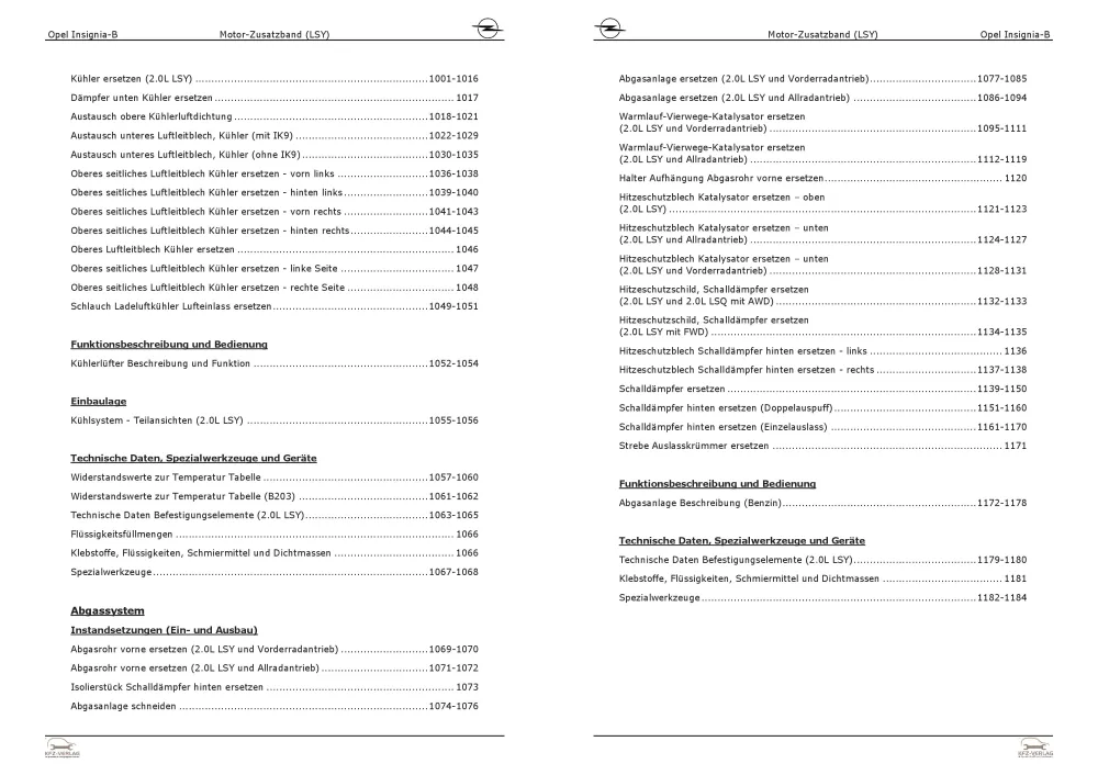 Opel Insignia B (17-22) Benzinmotor Zusatzband 170-230 PS LSY Reparaturanleitung