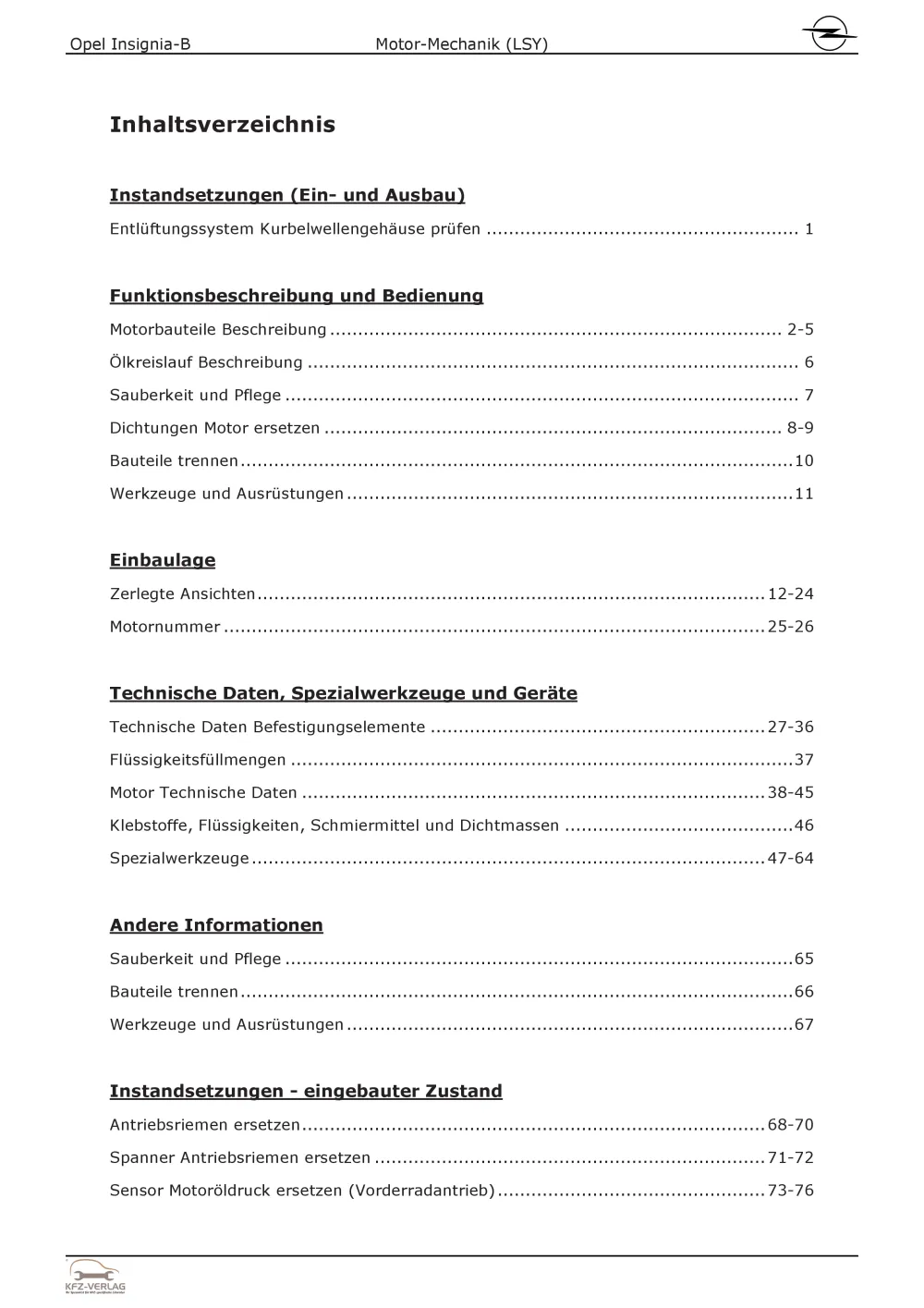 Opel Insignia B (17-22) 4-Zyl 2.0l Benzinmotor 170-230 PS LSY Reparaturanleitung