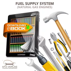 VW Passat 6, 3C 04-10 fuel supply system natural gas engines repair guide eBook